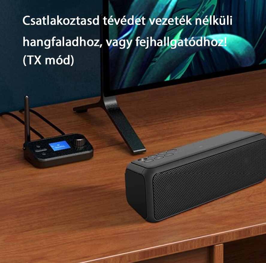 zo-th-1